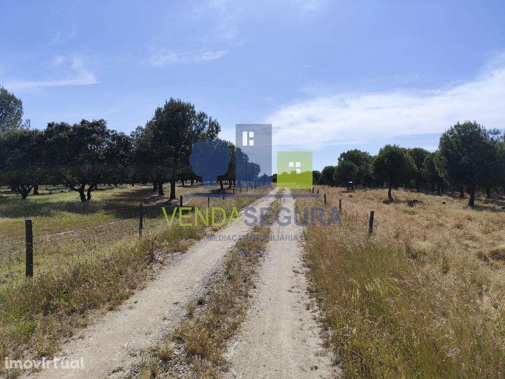 Terreno Rústico 11,425 Ha |Amareleja - Grande imagem: 3/9