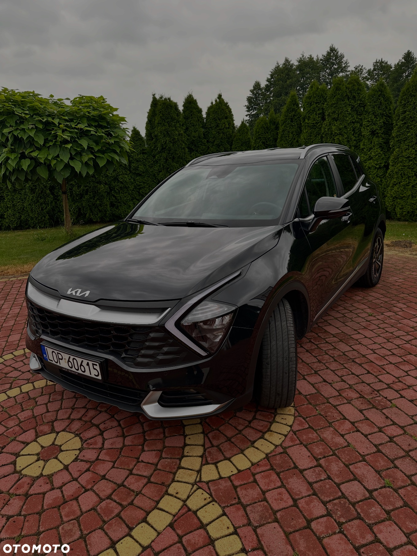 Kia Sportage 1.6 T-GDI HEV L 2WD - 4