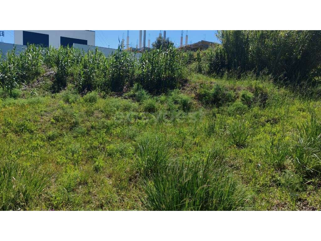 Lote para construção de moradia unifamiliar - Grande imagem: 3/6