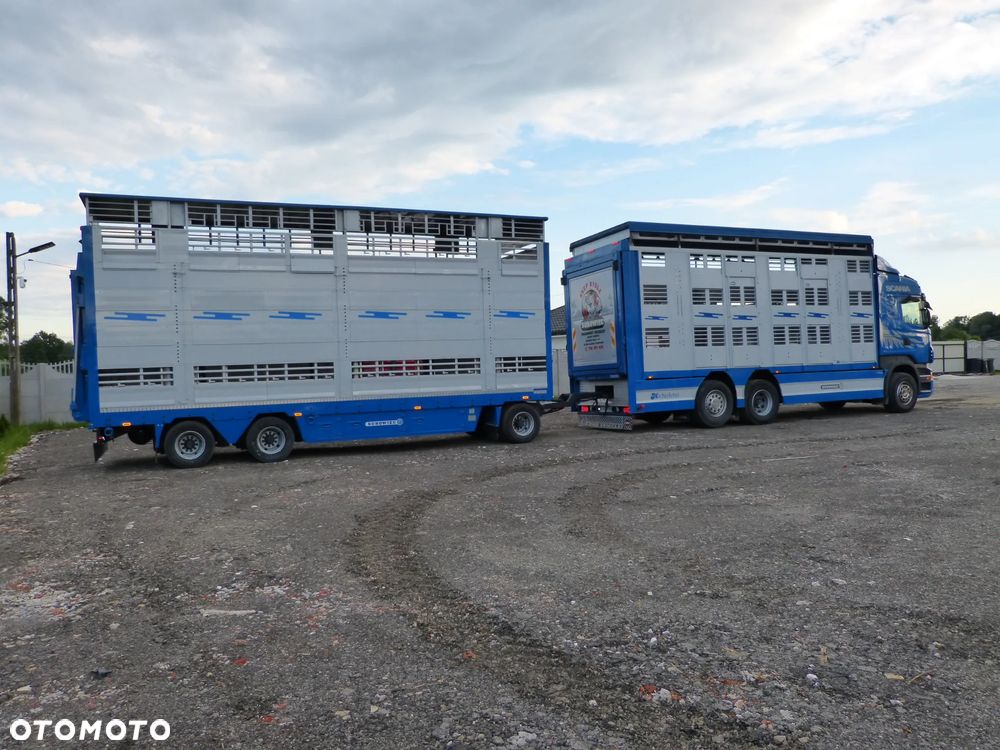 Scania R420 + PRZYCZEPA PEZZAIOLI / ZESTAW DO ŻYWCA, ZWIERZĄT, BYDŁA, TRZODY - 27