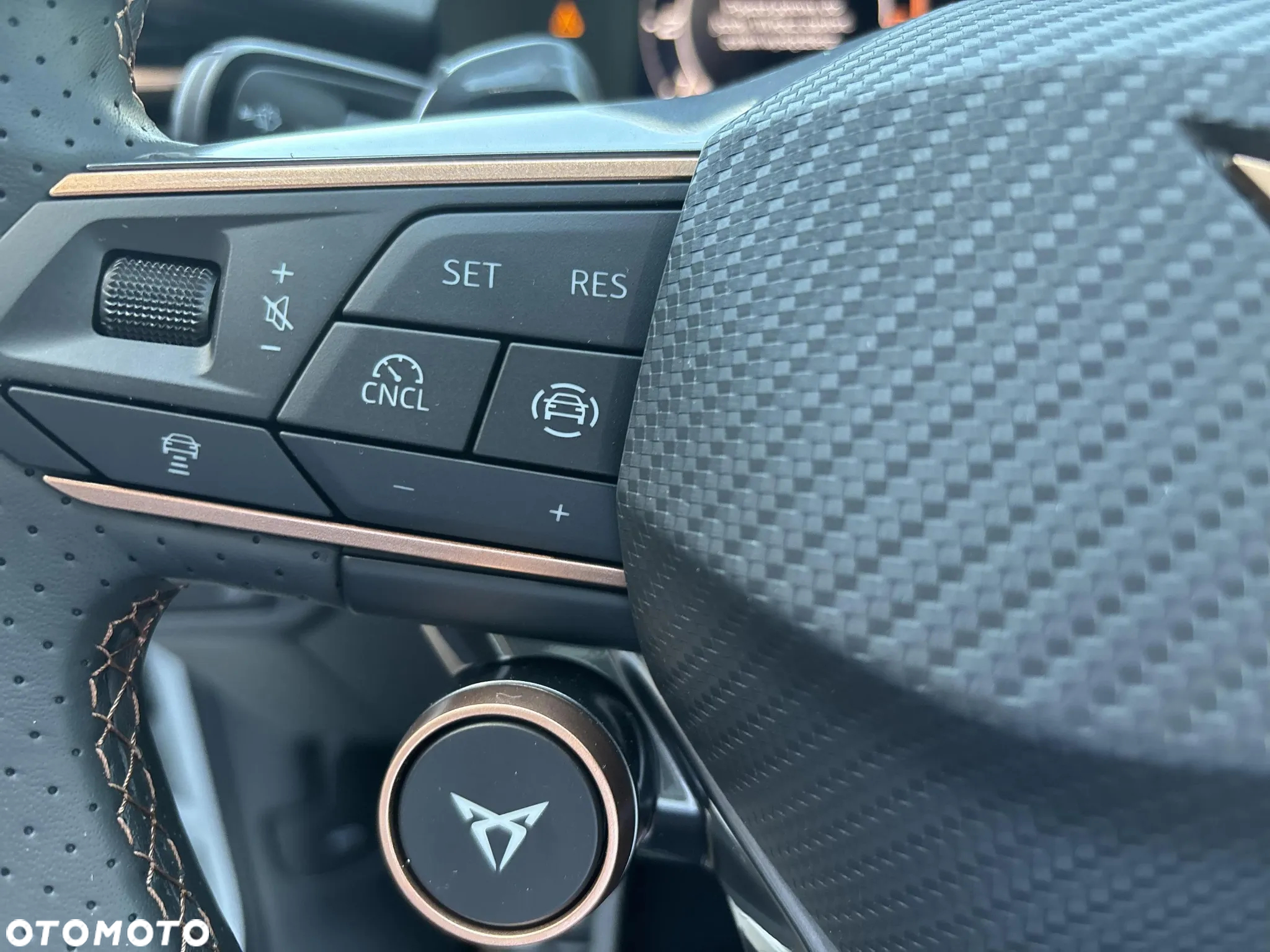 Cupra Terramar 2.0 TSI 4Drive DSG - 16