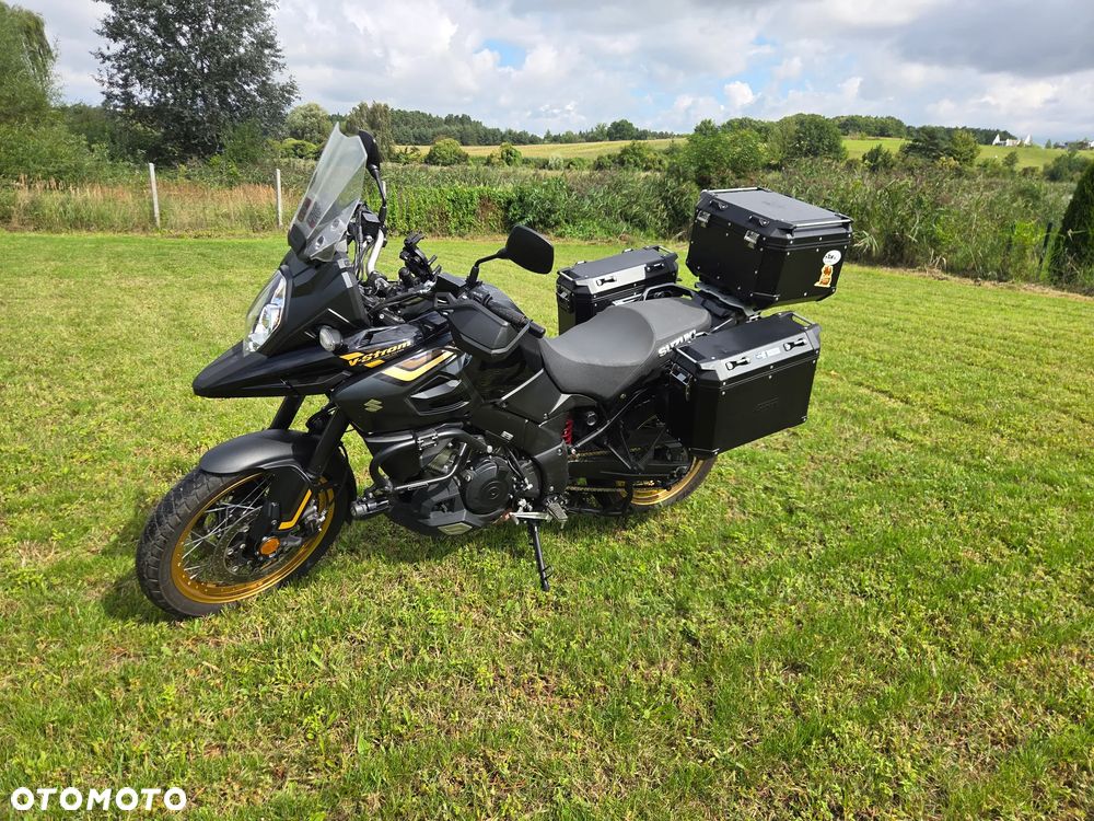 Suzuki DL - 2