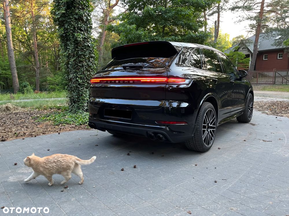 Porsche Cayenne Platinum Edition - 14