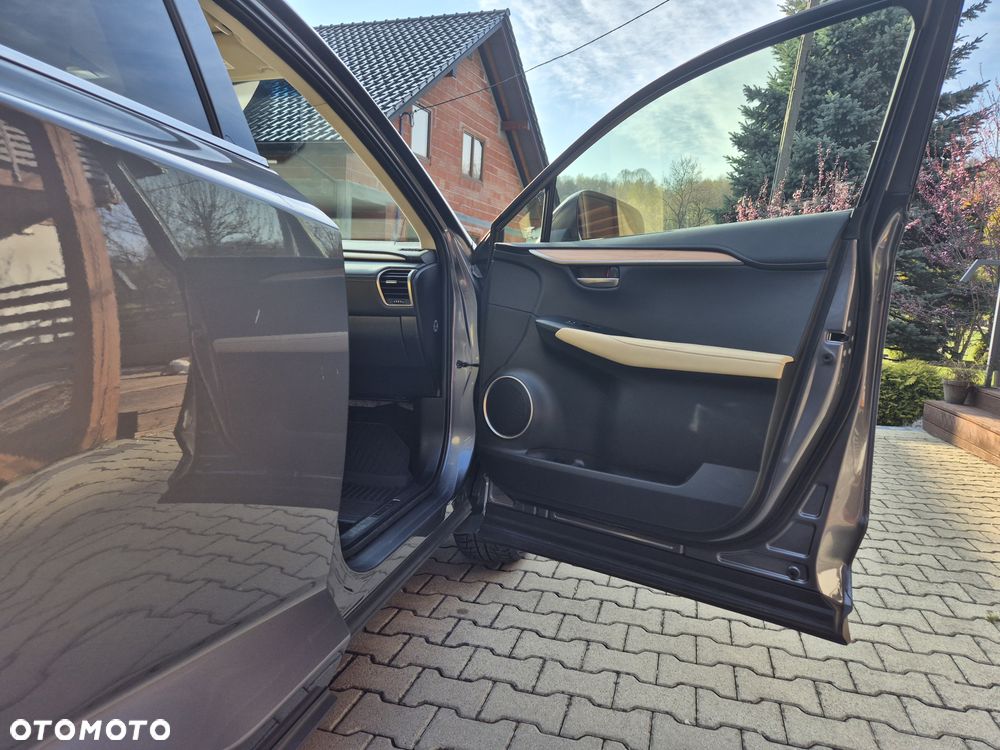 Lexus NX 300h Prestige AWD - 16