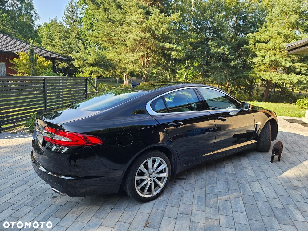 Jaguar XF 2.2 D Luxury - 2