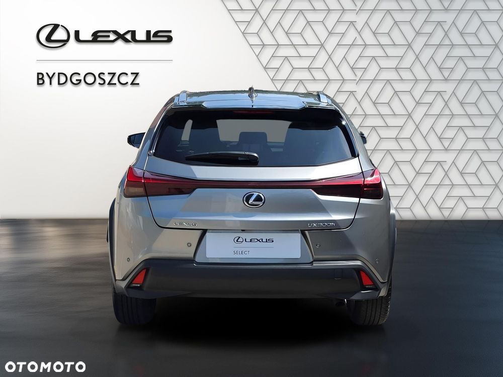 Lexus UX 300h Business - 5
