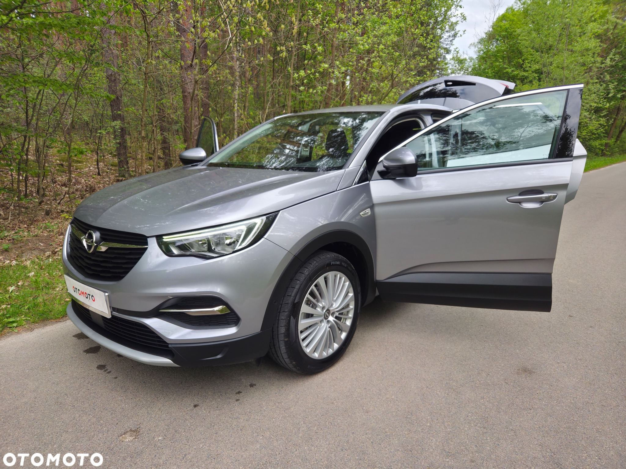 Opel Grandland X 1.6 CDTI Ultimate S&S - 19