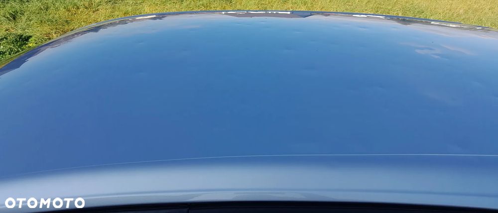 Renault Megane - 21