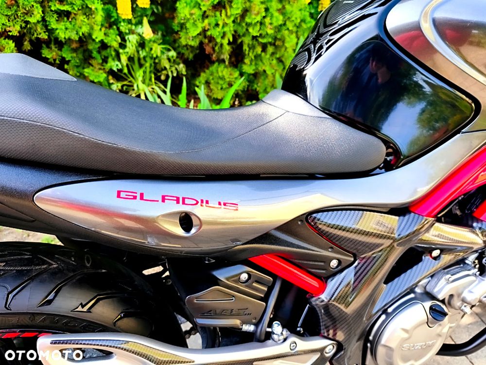 Suzuki Gladius - 10