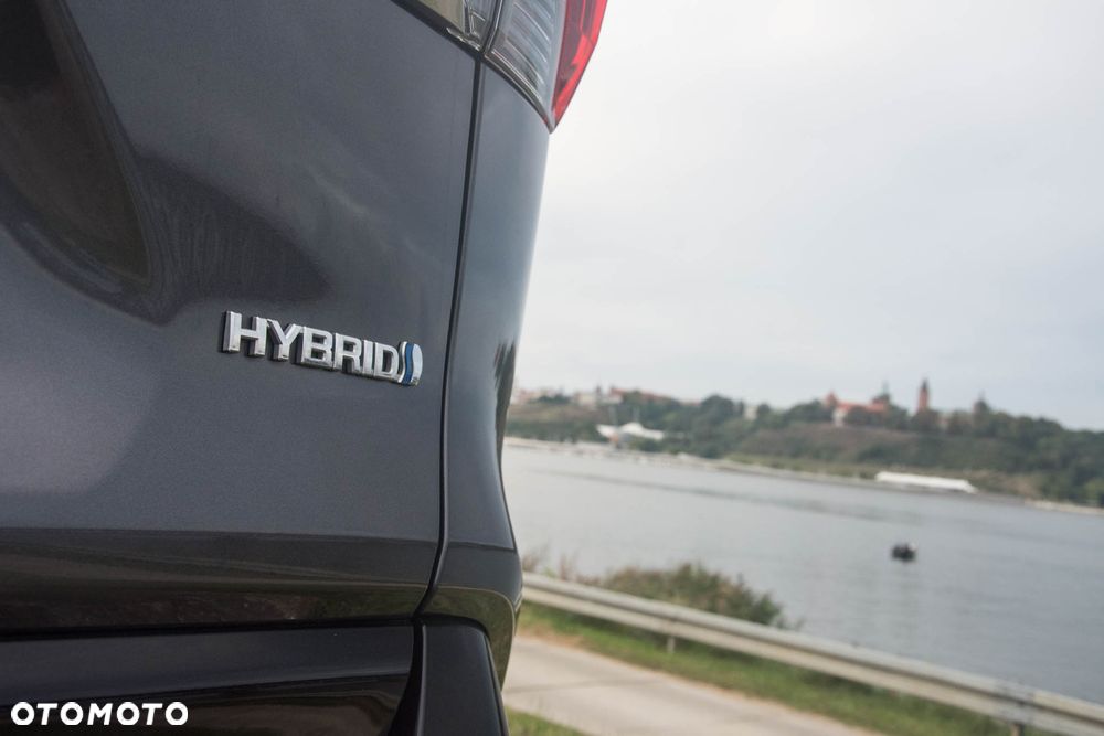 Toyota RAV4 2.5 Hybrid Selection 4x2 - 10