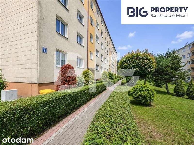 Słoneczna kawalerka w centrum - Tysiąclecia 1