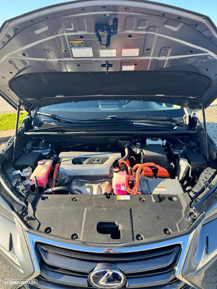 Lexus NX 300h Executive Plus - 13