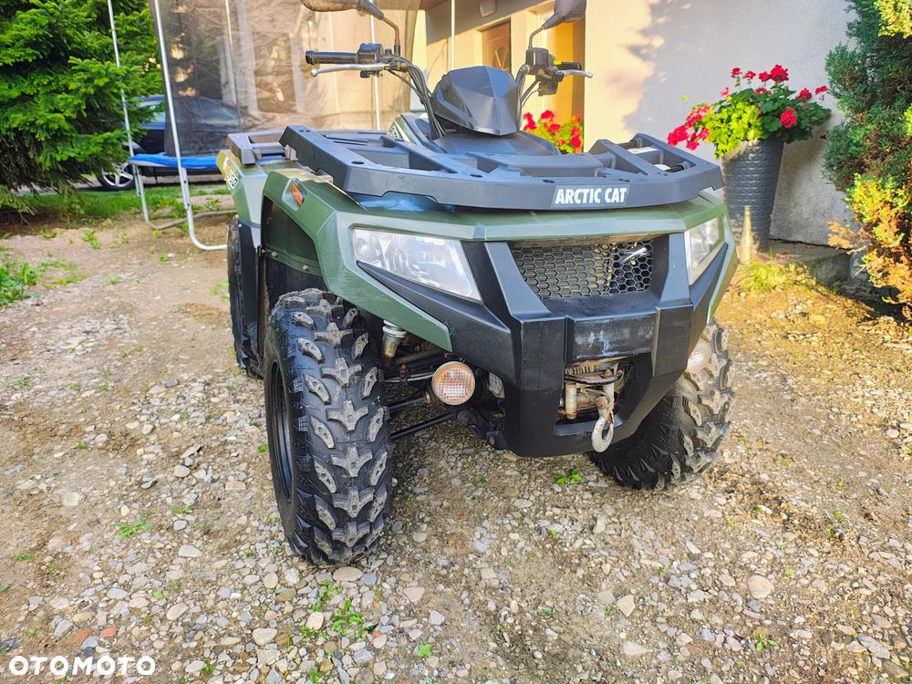 Arctic Cat Inny