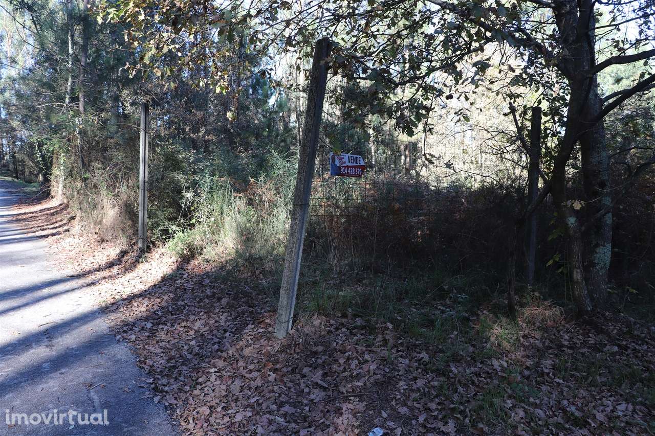 Lote de Terreno  Venda em Sousela,Lousada - Grande imagem: 2/9