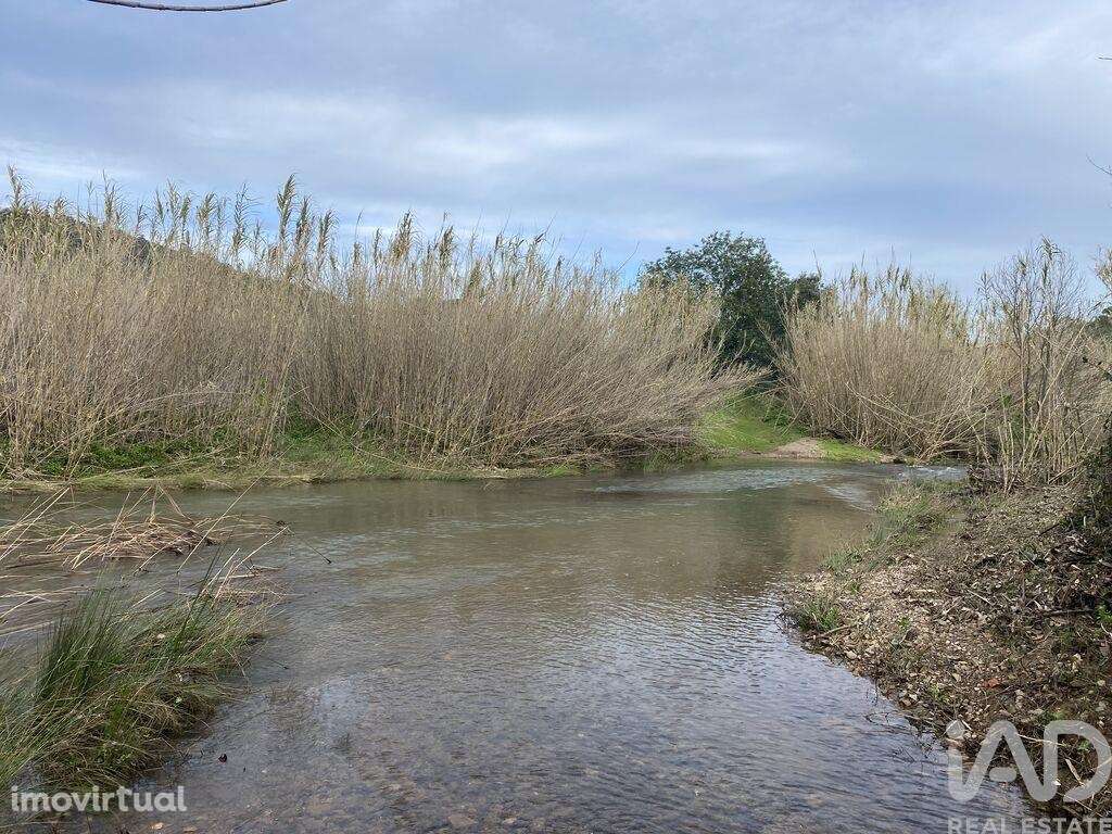 Terreno Agrícola em São Brás de Alportel - Grande imagem: 3/14
