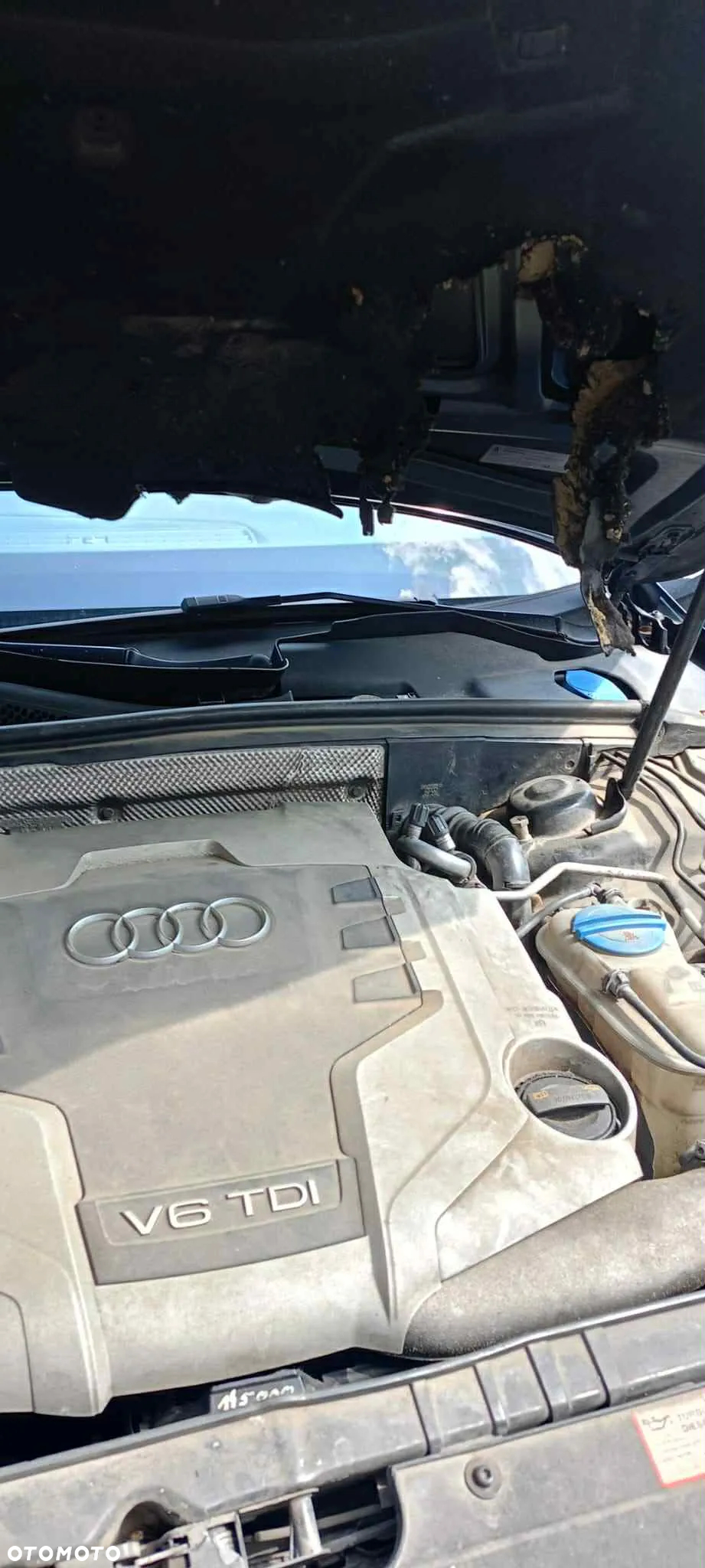 Audi A4 3.0 TDI Quattro - 7