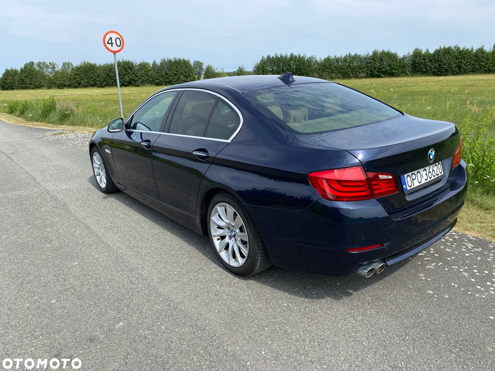 BMW Seria 5 530d xDrive - 22