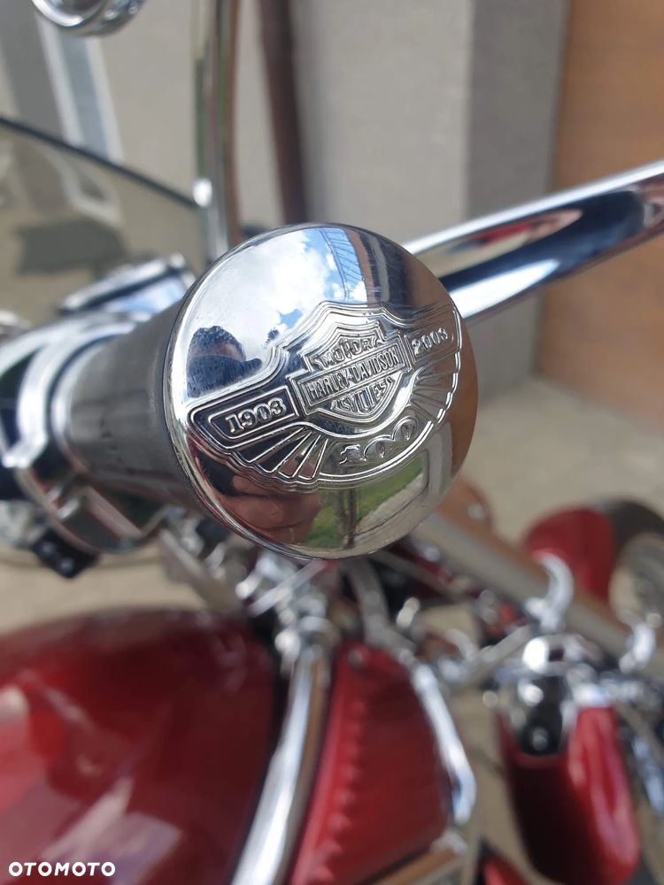 Harley-Davidson Softail V-Rod - 4