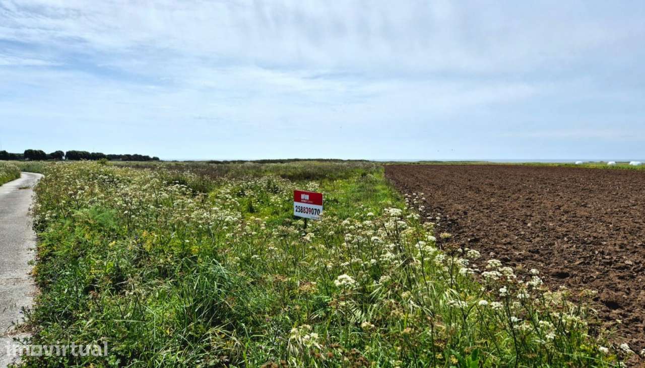 Venda de terreno agrícola c/ 9610m², Areosa, Viana do Castelo - Grande imagem: 5/20