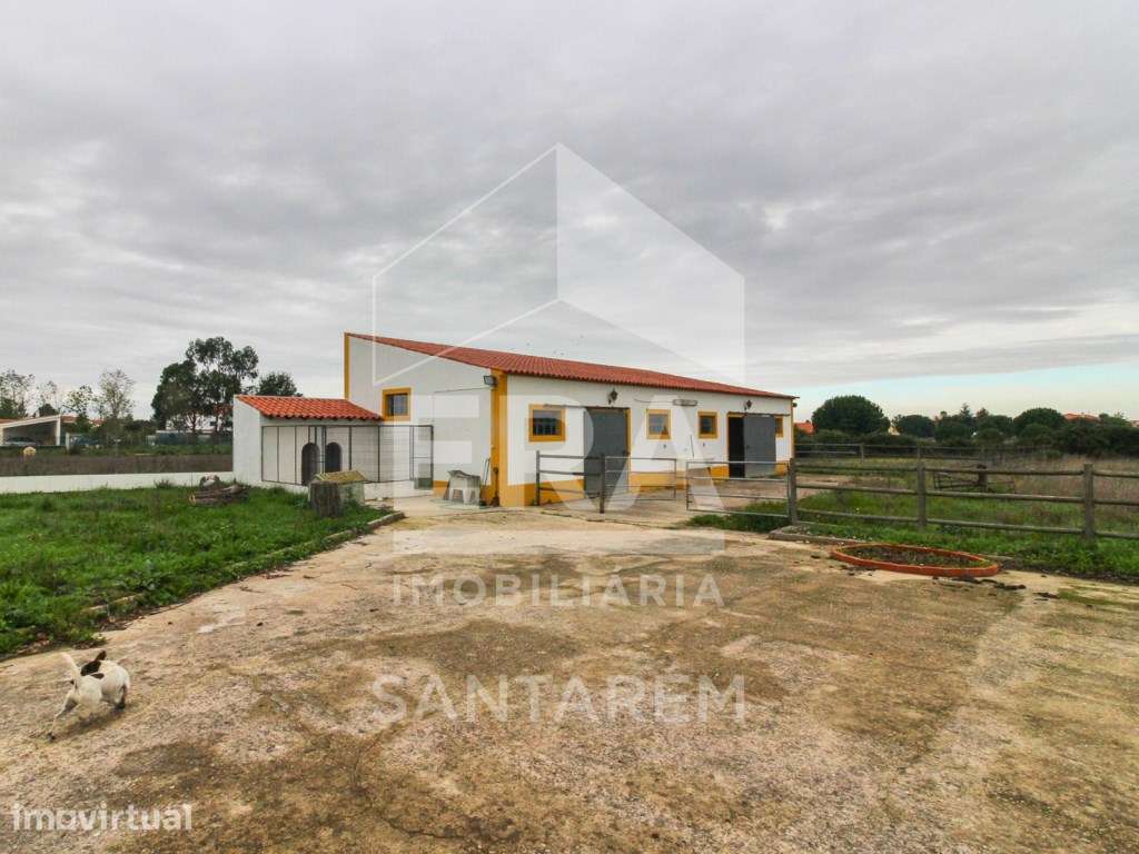 Moradia independente - Vale de Santarém - Grande imagem: 2/20