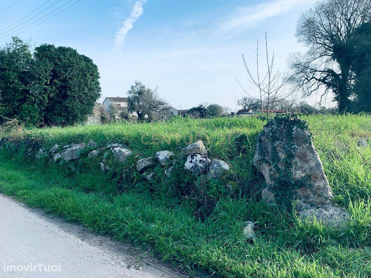 Terreno Urbano - Grande imagem: 3/19