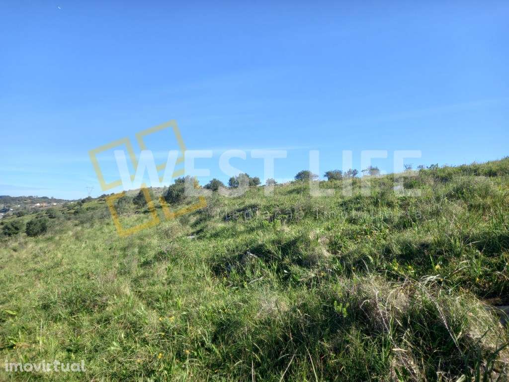 Terreno Rústico de 3562m2 em Santo Estevão das Galés - Grande imagem: 4/11