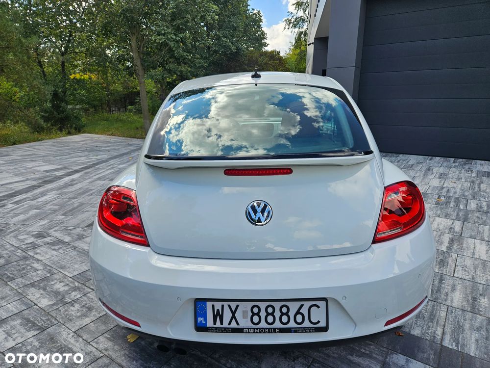 Volkswagen Beetle - 11