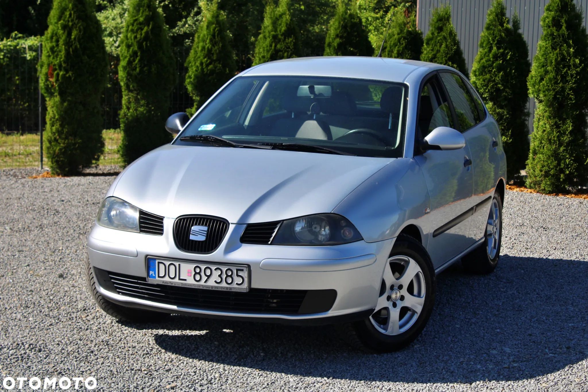 Seat Ibiza - 1