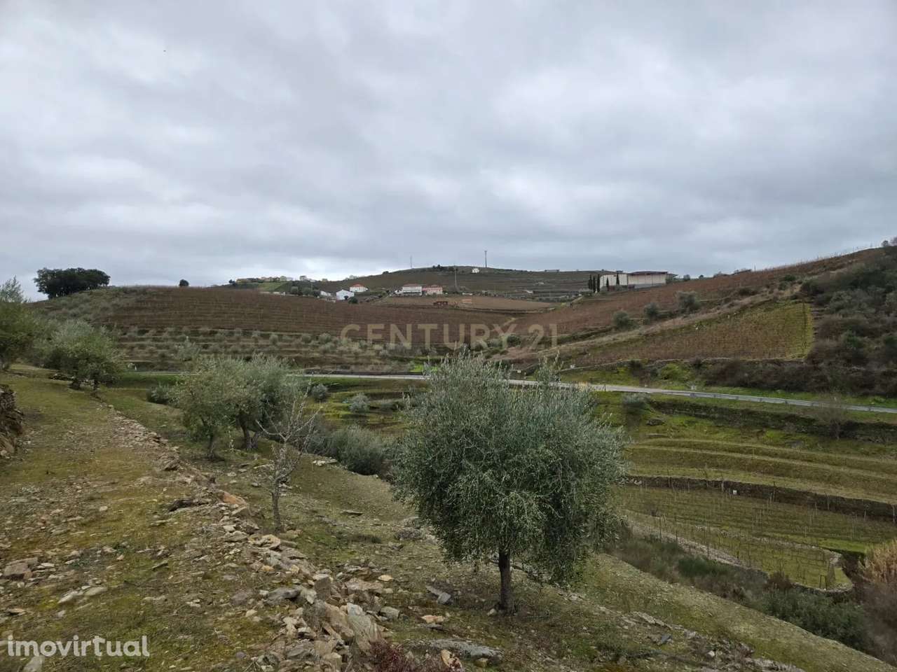 Refúgio Único no Coração do Douro - Grande imagem: 2/6