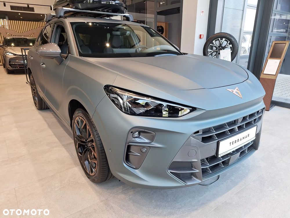Cupra Terramar 2.0 TSI 4Drive Advantage Edition DCC DSG - 5