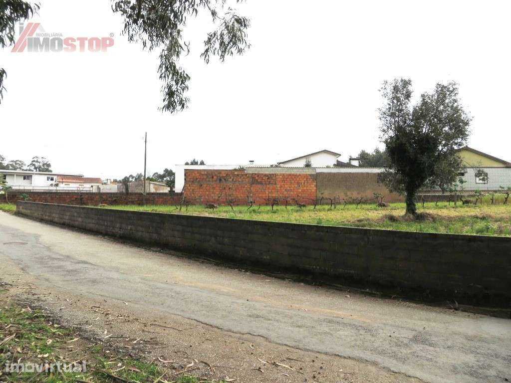 Terreno Urbanizável - Macinhata do Vouga! - Grande imagem: 3/4