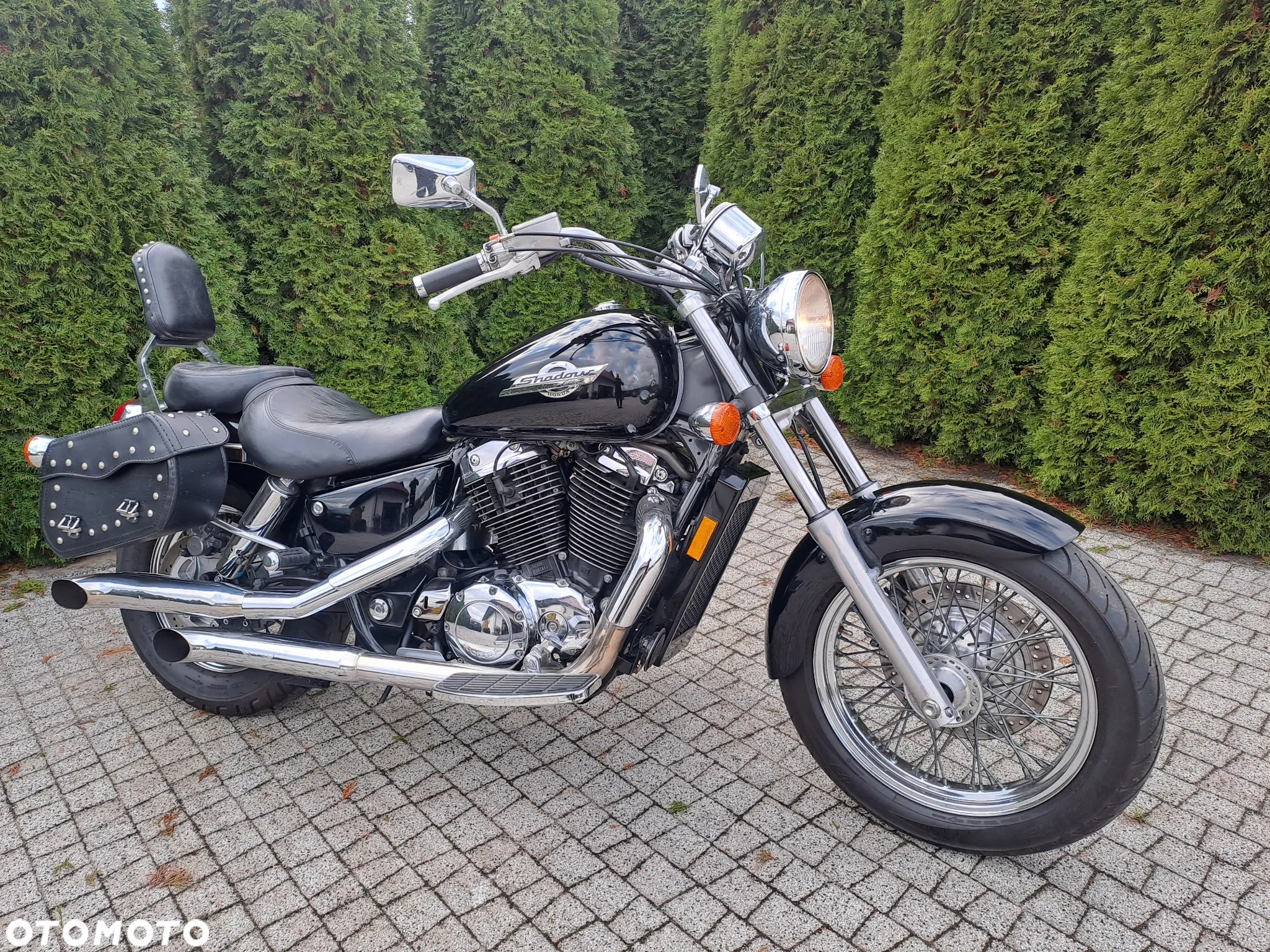 Honda Shadow - 3