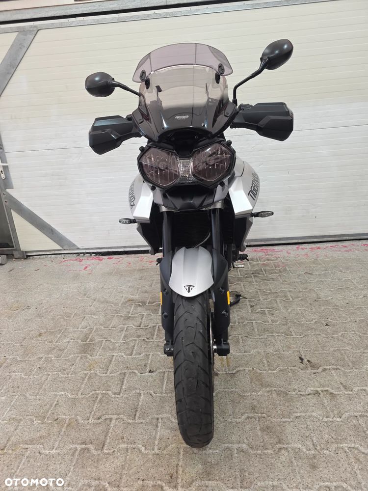 Triumph Tiger - 14