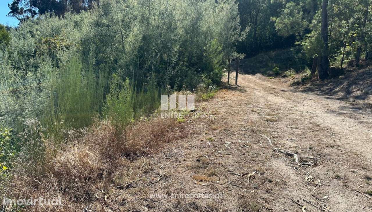 Venda de Terreno, Paredes Viadores - Grande imagem: 2/29