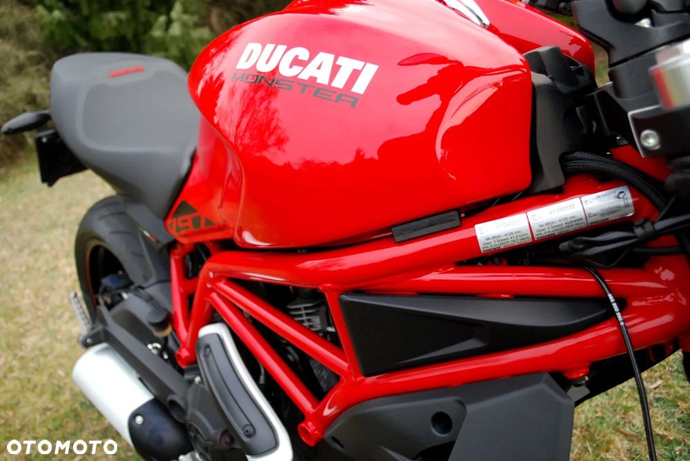 Ducati Monster - 6