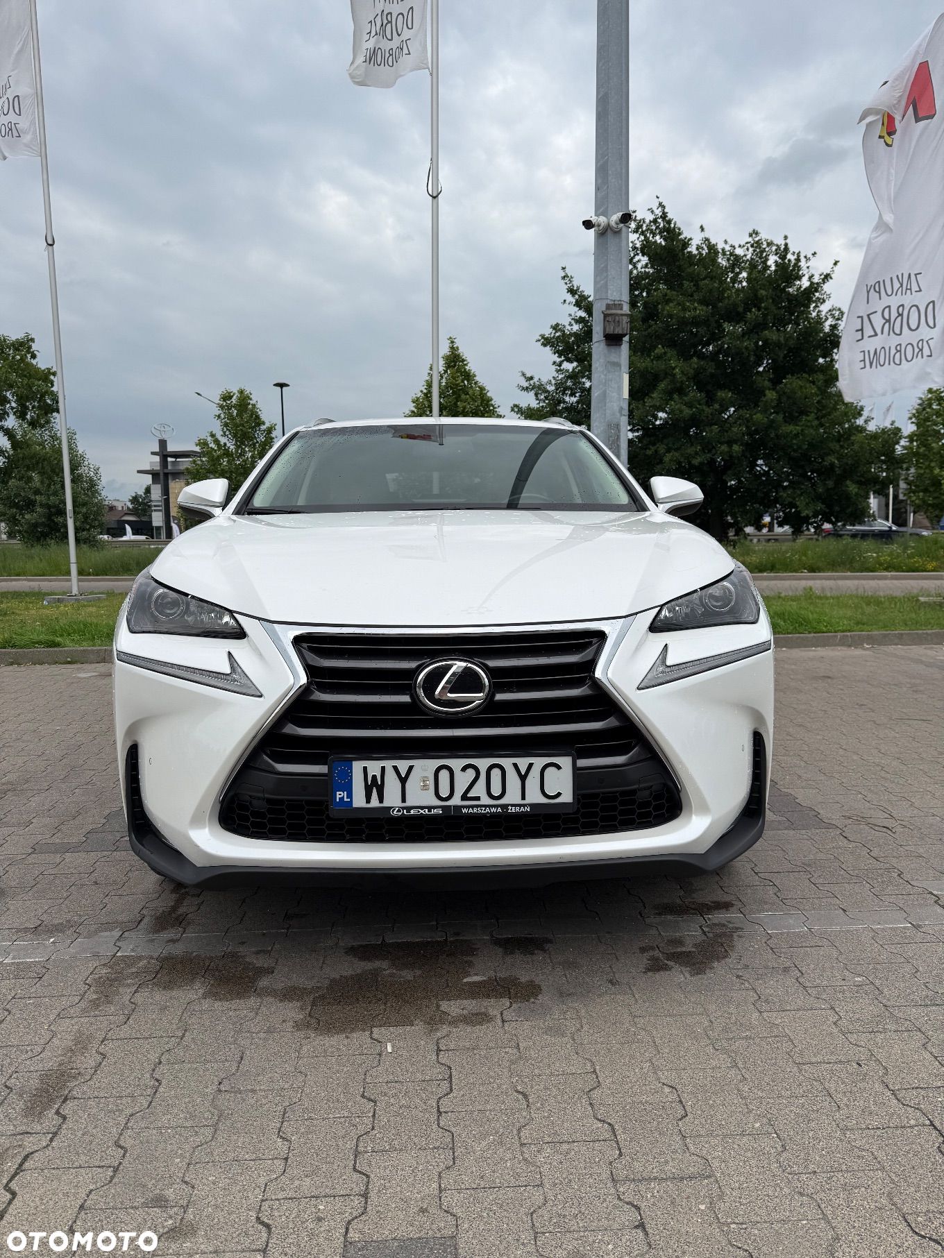Lexus NX 200t Prestige AWD - 1