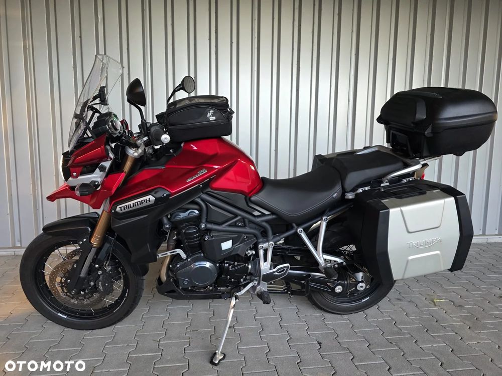 Triumph Tiger - 14