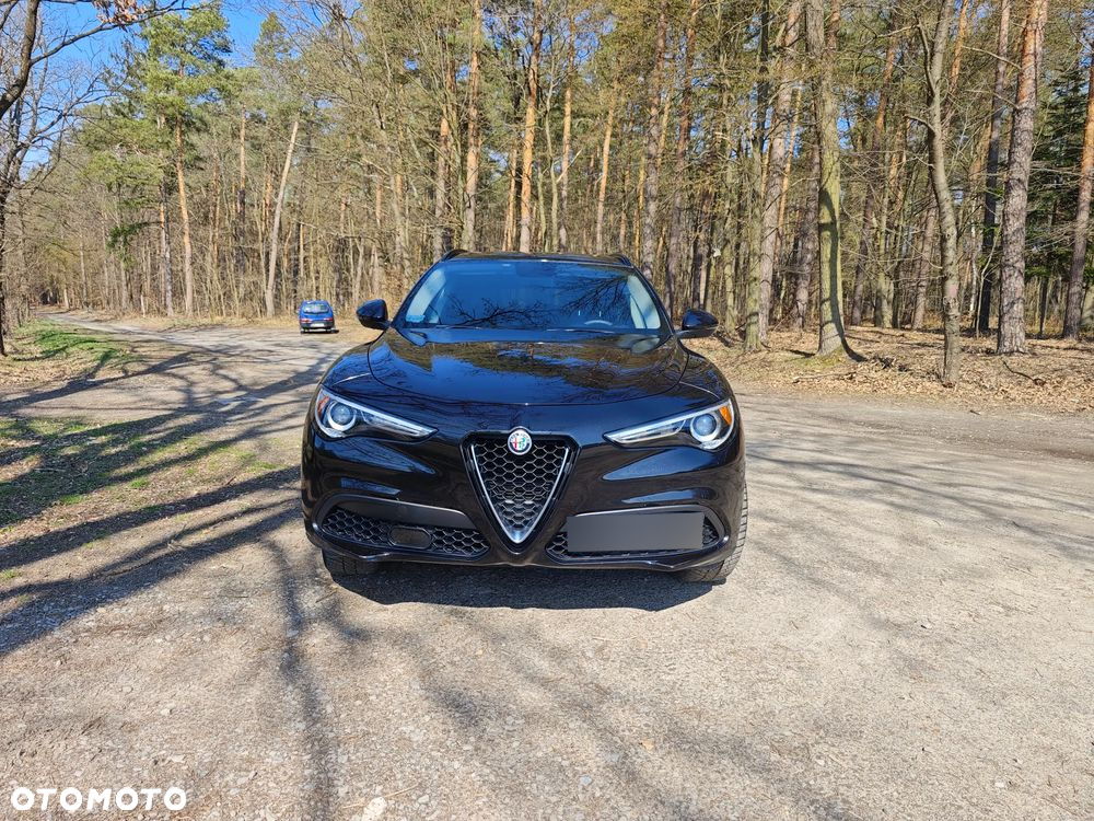 Alfa Romeo Stelvio 2.0 Turbo First Edition Q4 - 3
