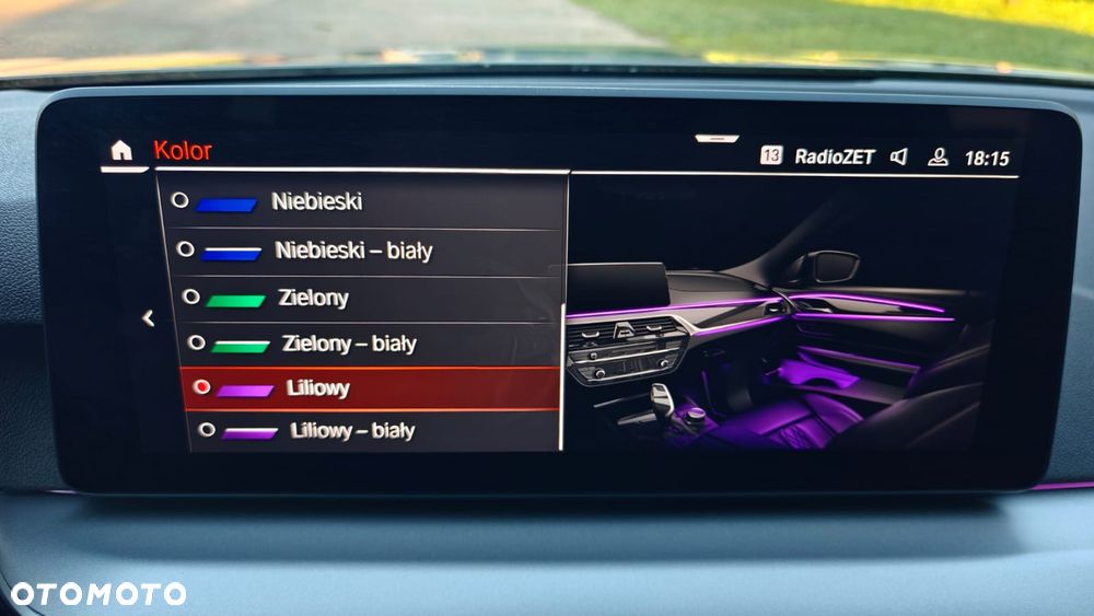 BMW Seria 5 520i Luxury Line - 19