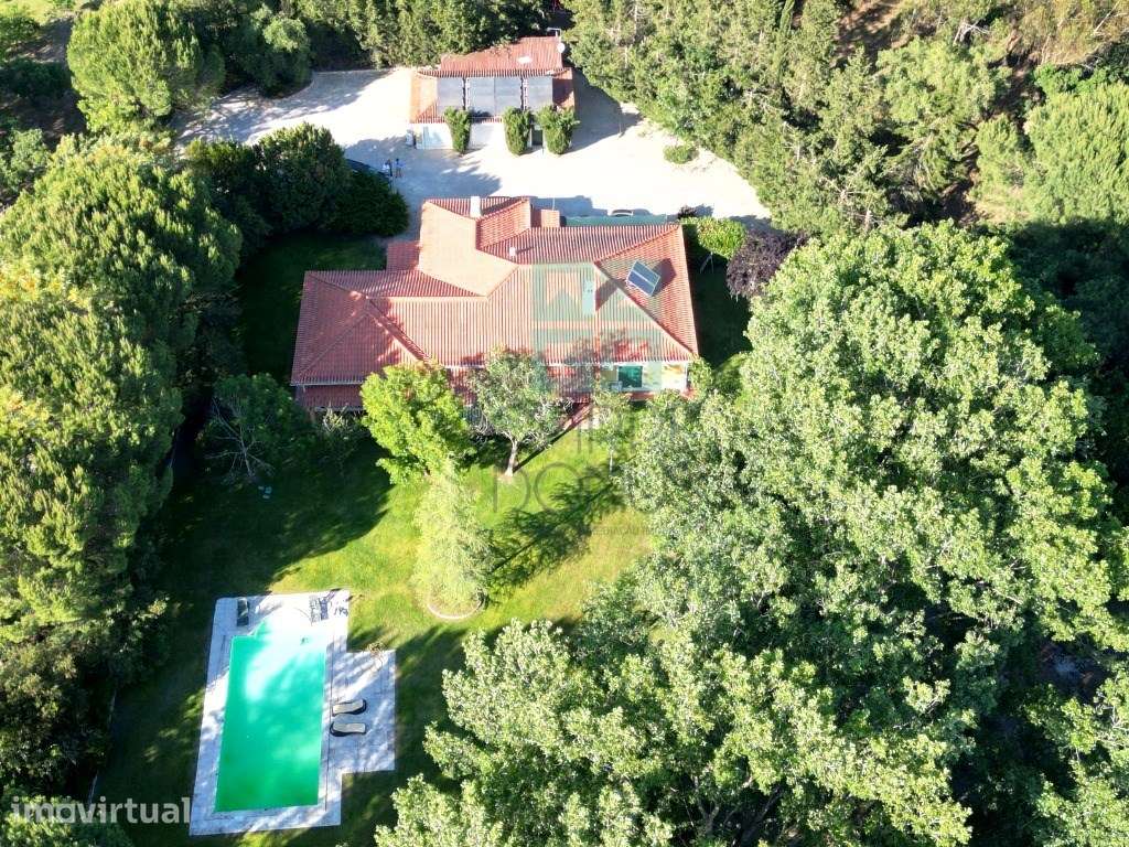 Quinta de 10154m2 com moradia T5 e piscina, na Herdade Zambujeiro, ... - Grande imagem: 2/60