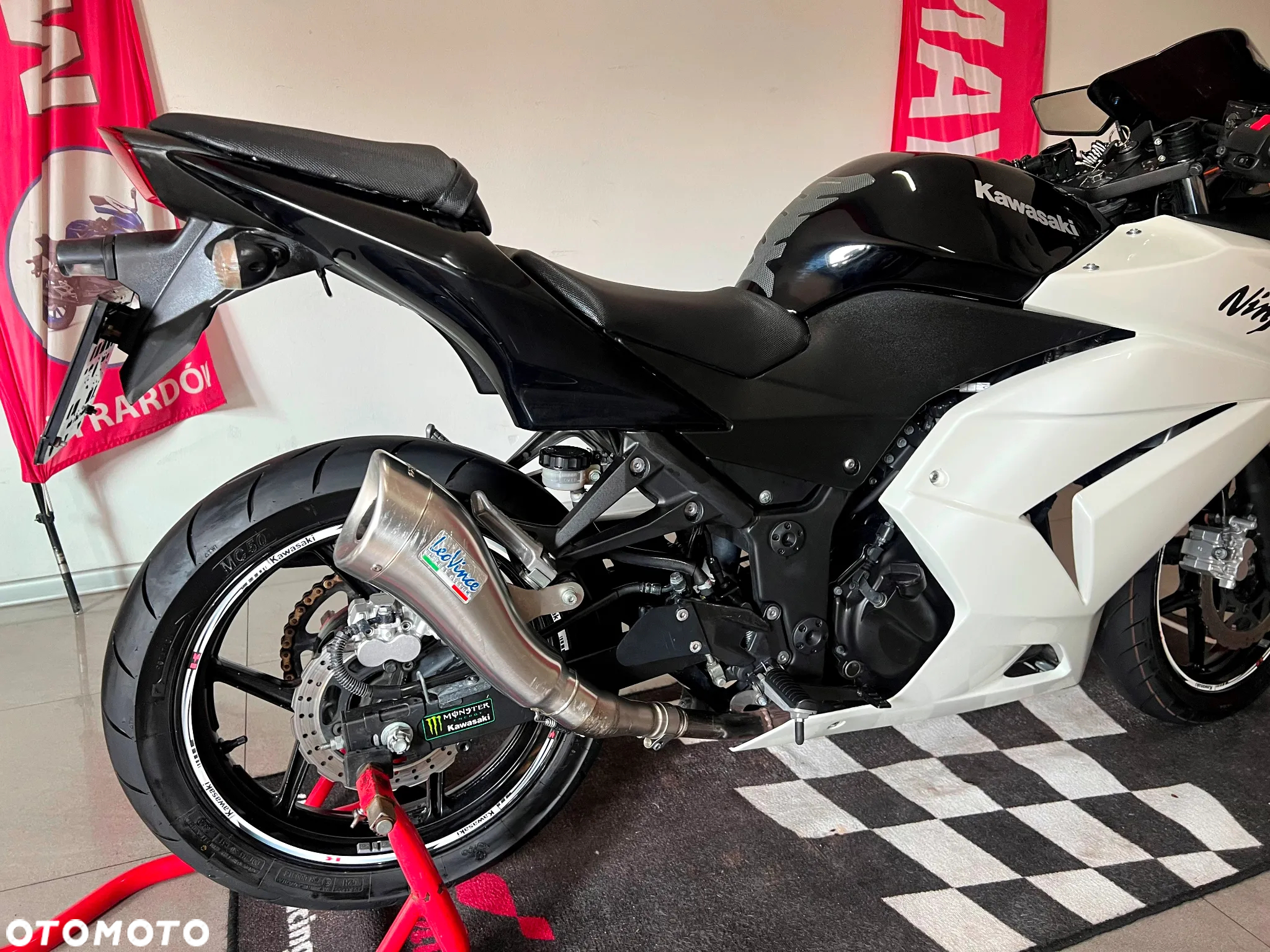 Kawasaki Ninja 250R - 7