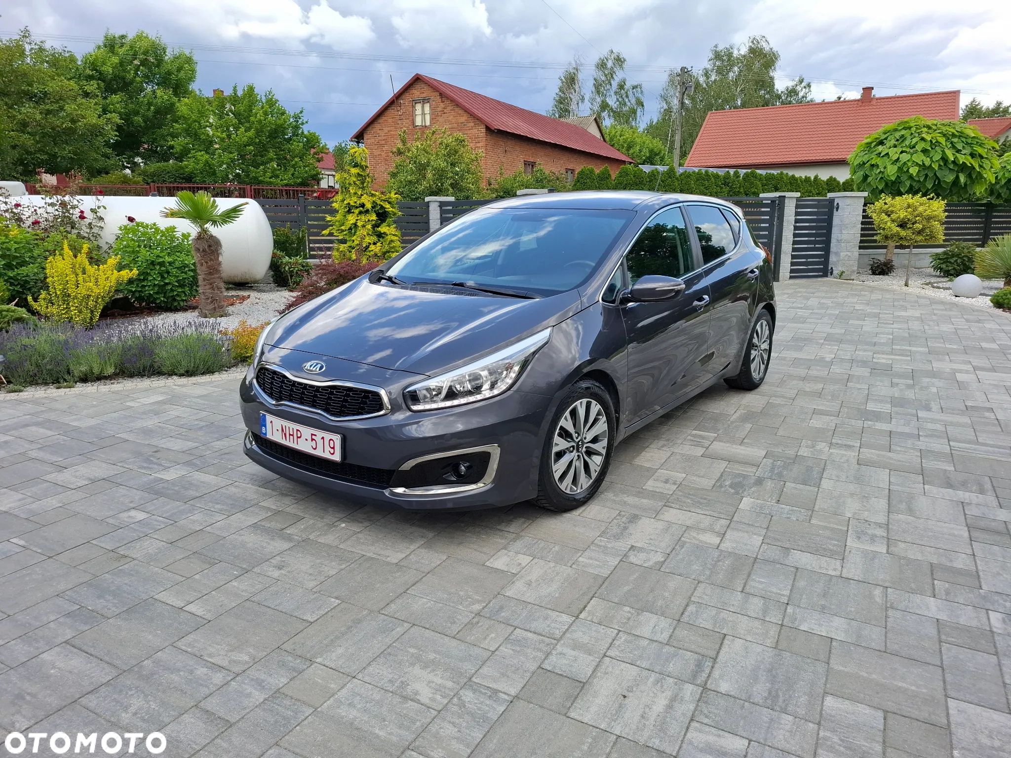 Kia Ceed 1.0 T-GDI 120 OPF Edition 7 - 1