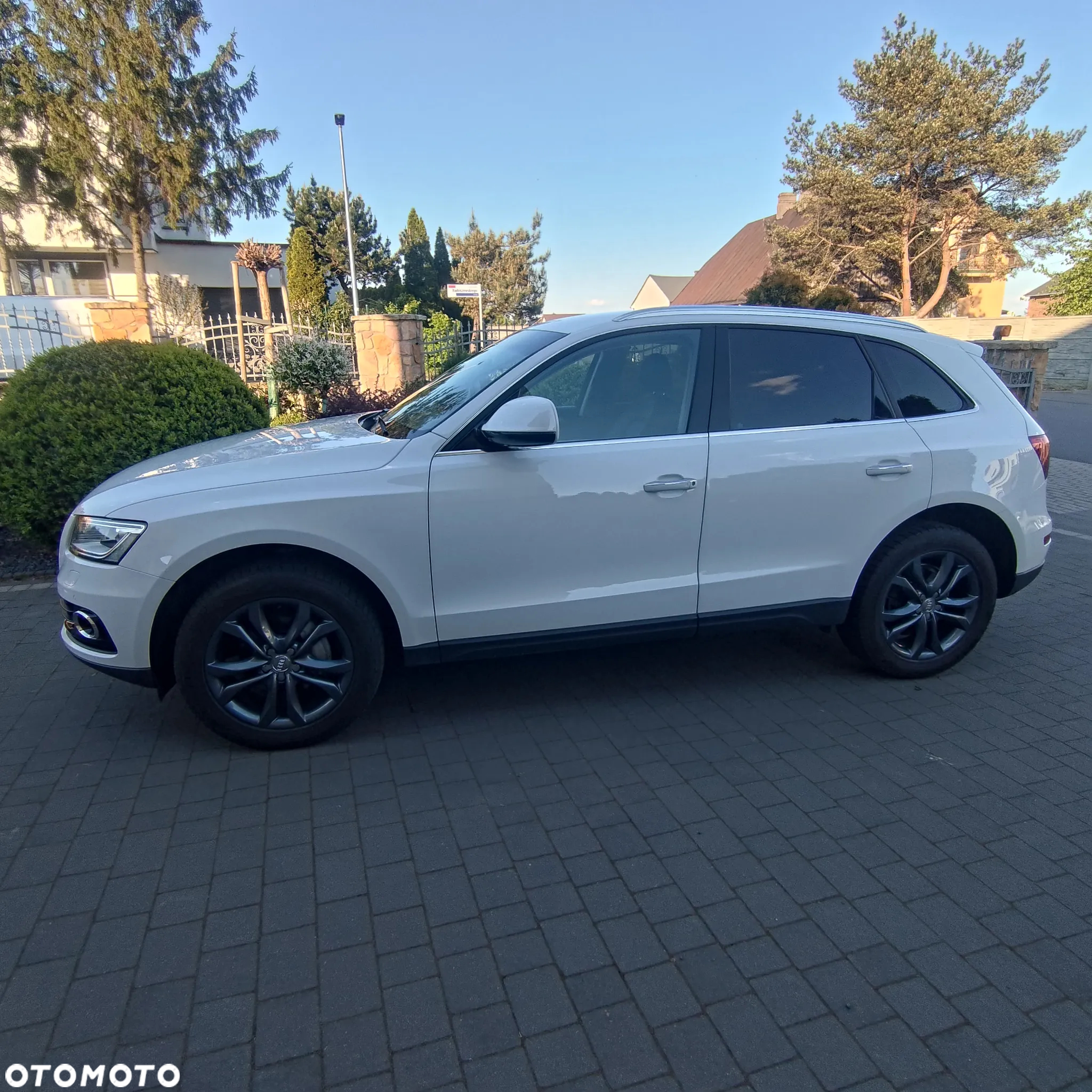 Audi Q5 2.0 TDI clean diesel Quattro S tronic - 8