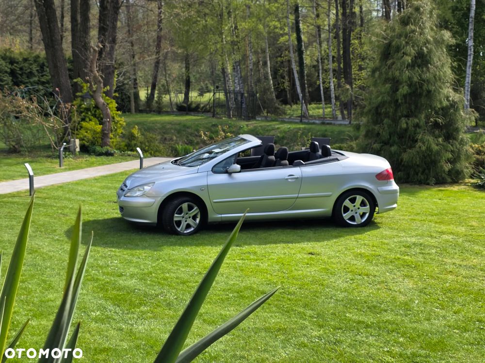 Peugeot 307 2.0 XS Class - 8