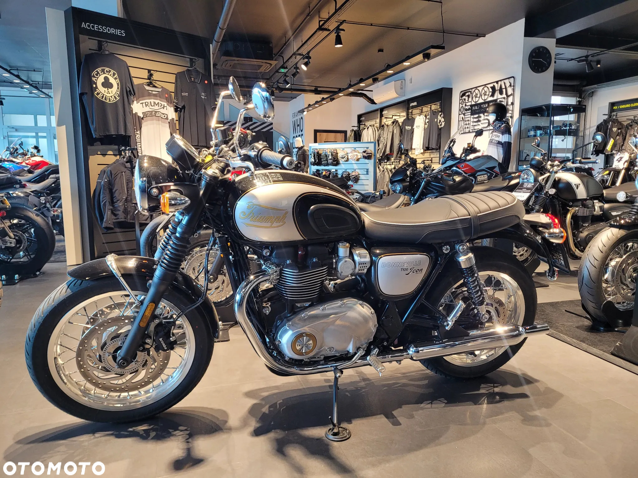 Triumph Bonneville - 3