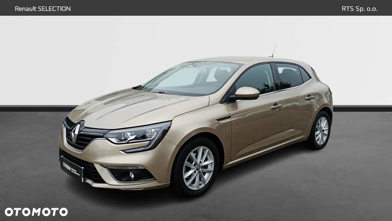Renault Megane 1.3 TCe FAP Winter Edition - 12