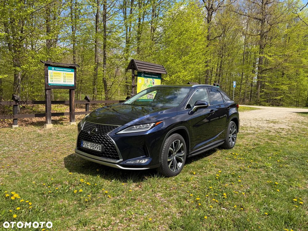 Lexus RX 300 Business Edition + - 3