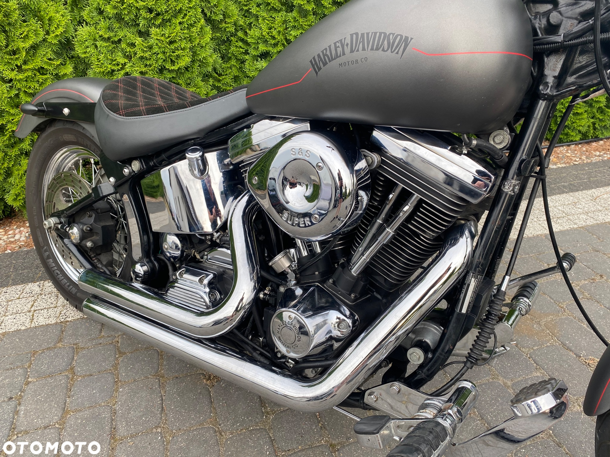 Harley-Davidson Softail Custom - 6