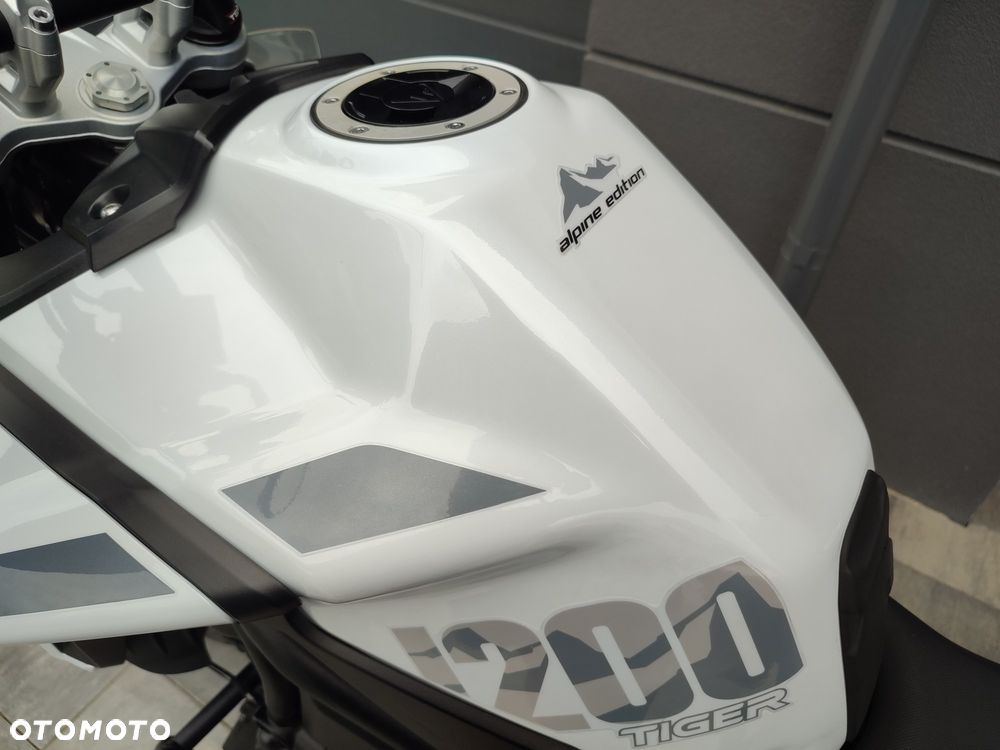 Triumph Tiger - 31