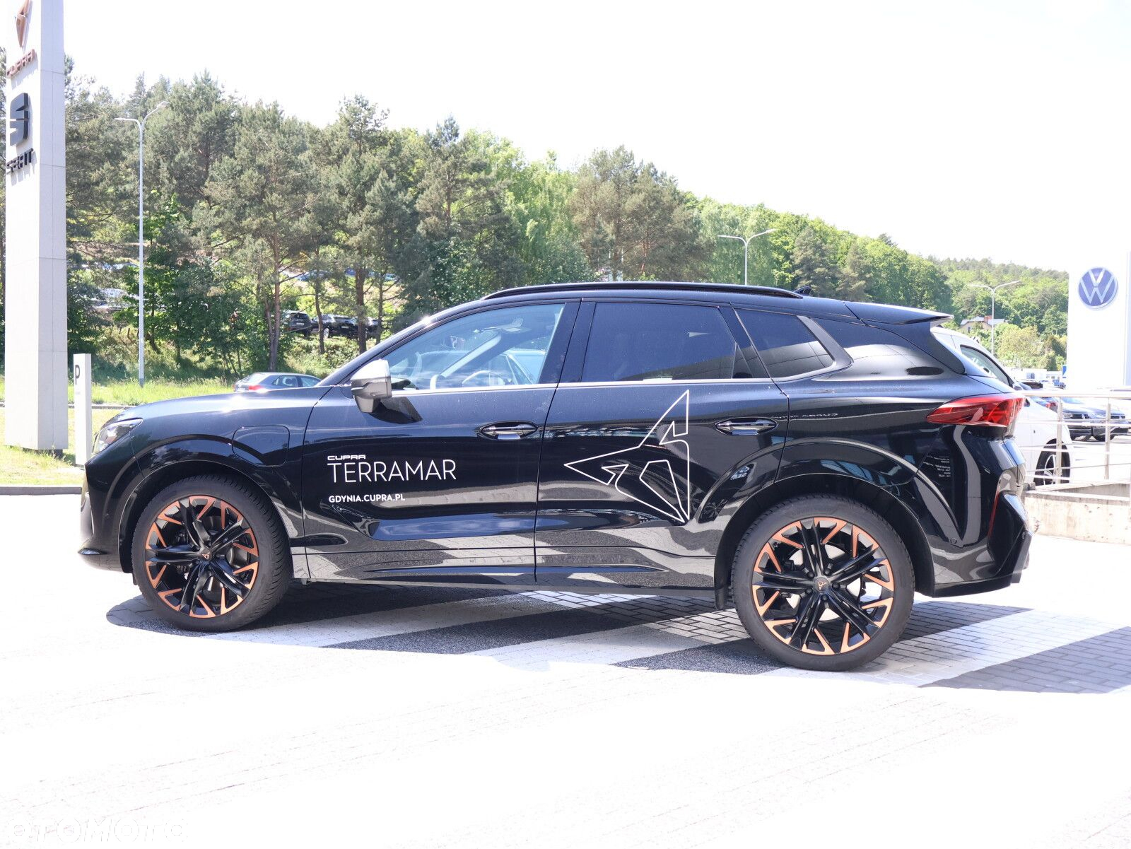 Cupra Terramar - 8
